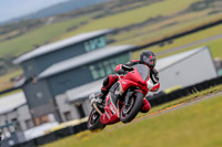 PJ-Motorsport-2019;anglesey-no-limits-trackday;anglesey-photographs;anglesey-trackday-photographs;enduro-digital-images;event-digital-images;eventdigitalimages;no-limits-trackdays;peter-wileman-photography;racing-digital-images;trac-mon;trackday-digital-images;trackday-photos;ty-croes